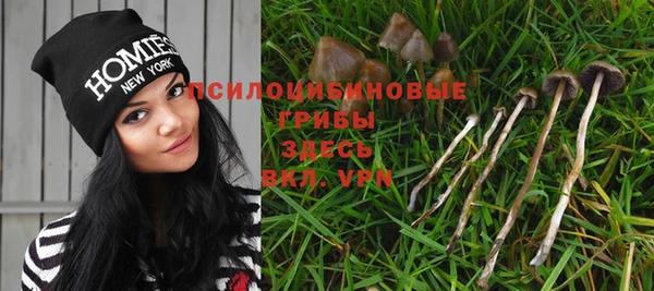 каннабис Балахна